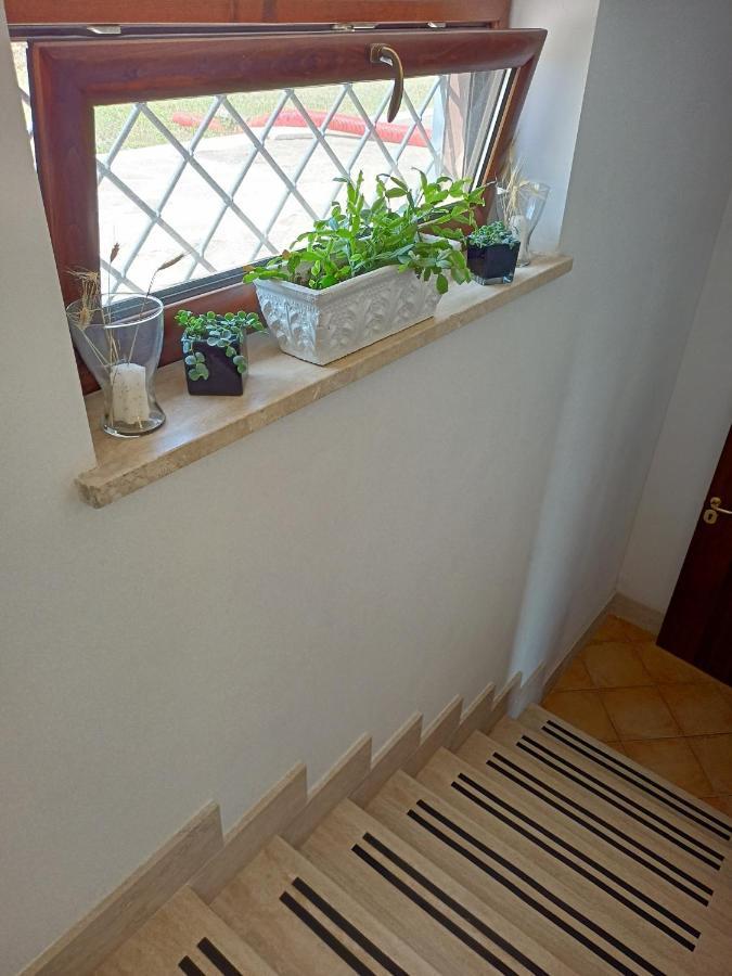 Il Faggio 17 B&B Artena Luaran gambar