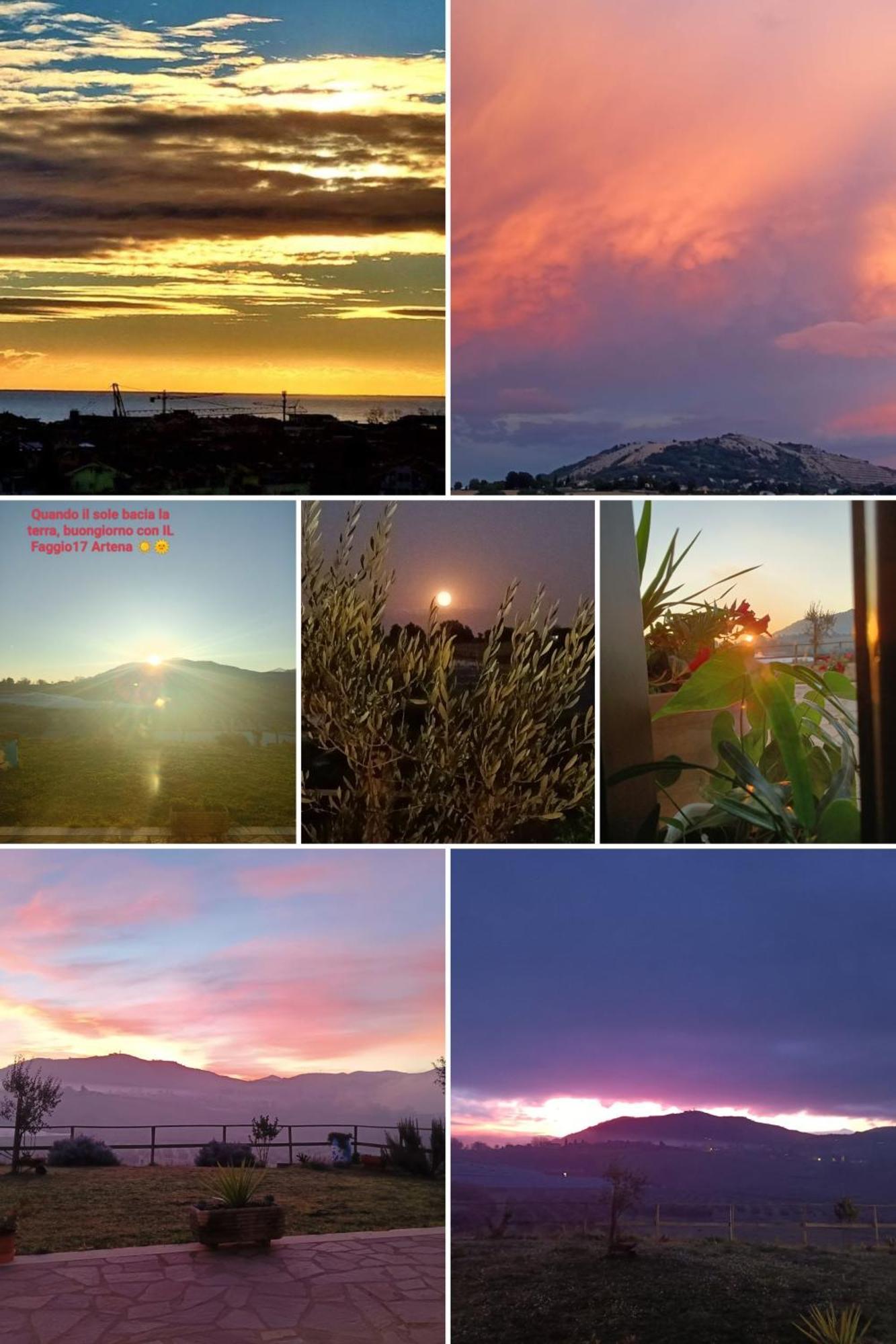 Il Faggio 17 B&B Artena Luaran gambar