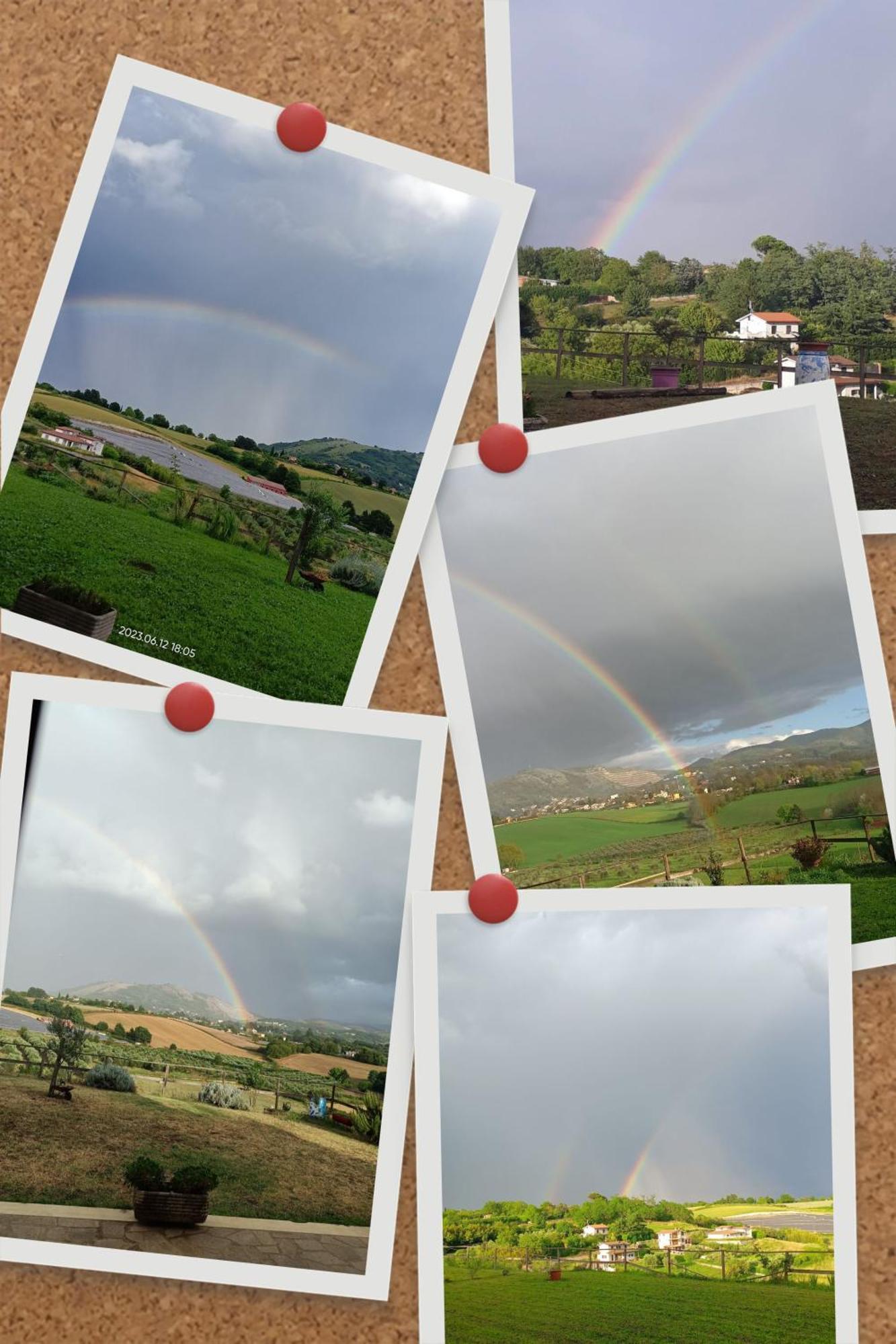 Il Faggio 17 B&B Artena Luaran gambar