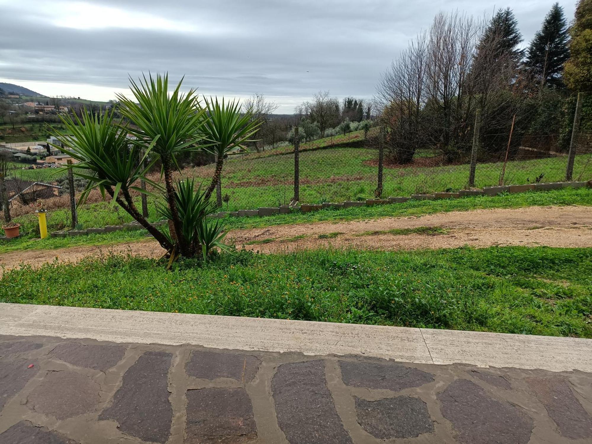 Il Faggio 17 B&B Artena Luaran gambar