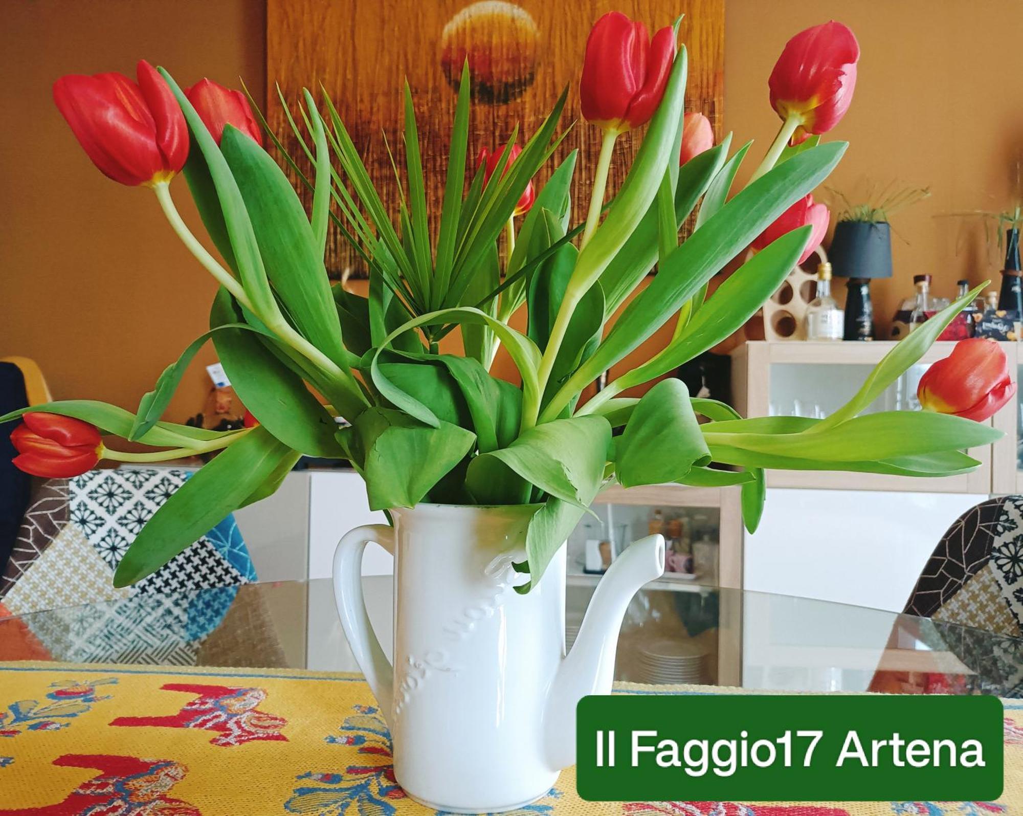 Il Faggio 17 B&B Artena Luaran gambar