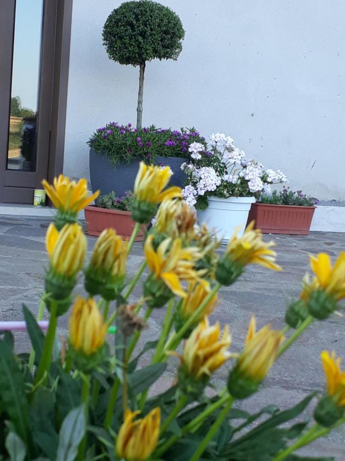 Il Faggio 17 B&B Artena Luaran gambar