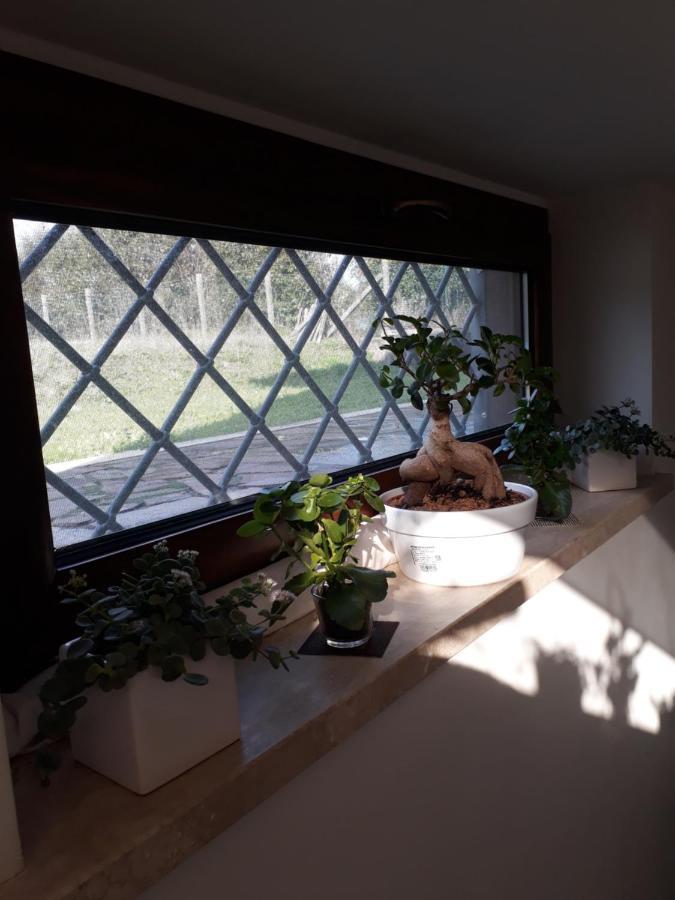 Il Faggio 17 B&B Artena Luaran gambar